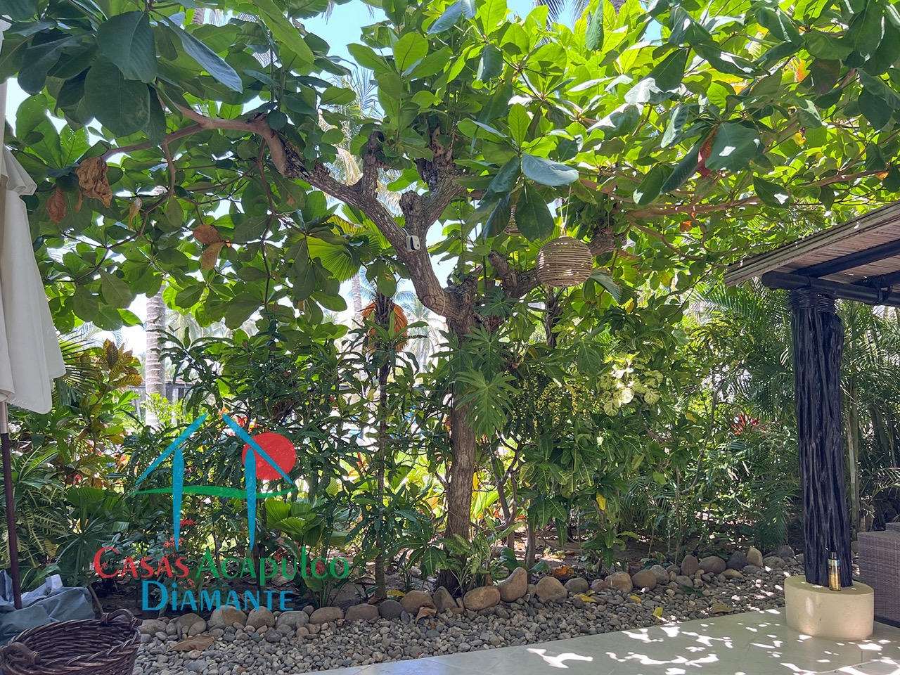 Pacífico Diamante Amura GH 1 - Terraza 11